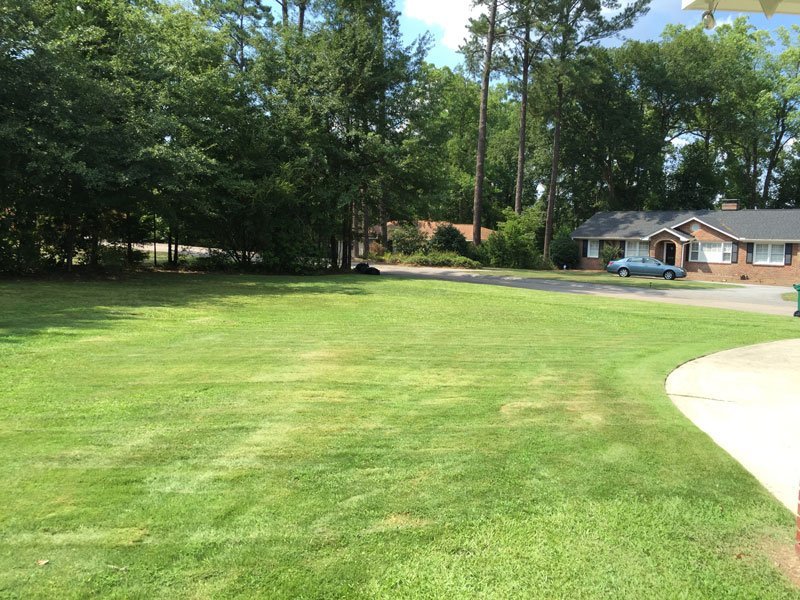 Project Spotlight: South Carolina Residence 5 Project Spotlight: South Carolina Residence 4