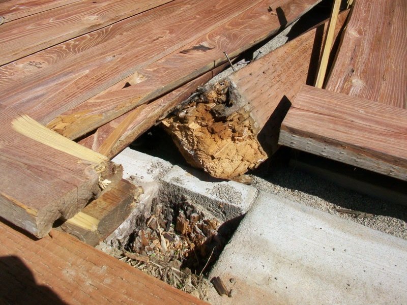 5 Reasons Trex Fencing is Better Than Wood 9 5 Reasons Trex Fencing is Better Than Wood 8