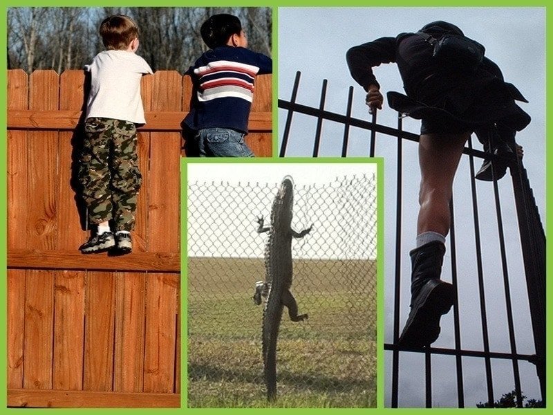 Trex Seclusions Fencing as a Security Fence 2