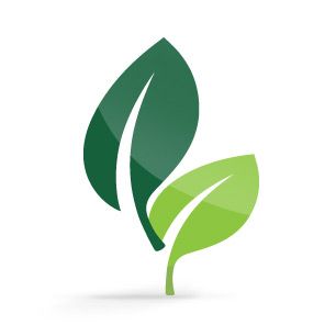 Green fact leaf icon