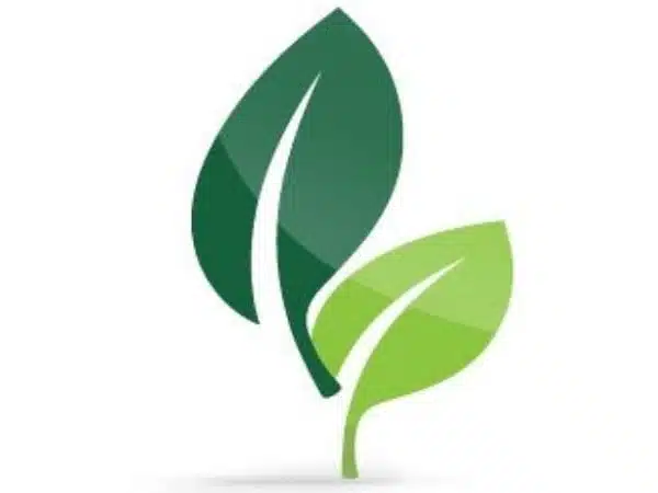 Sustainability Green Leafs symbolizing green building projects