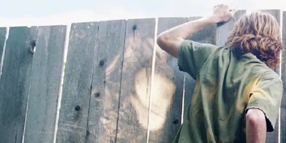 Keep the nosy neighbors out Wood Fencing doesn't keep the nosy kids from looking through the fence