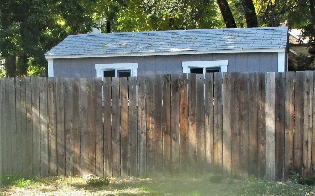 wood-pickets-have-gaps An old wood fence that has gaps between the pickets because the wood has shrunk with age.