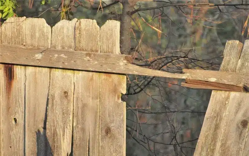 Decaying Wood Fence A decaying wood fence