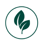 eco friendly green 3 eco friendly green 3