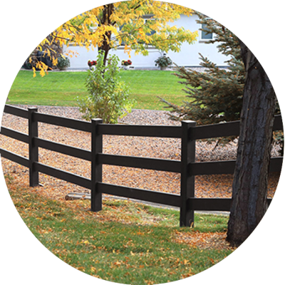 black Shenandoah black Shenandoah